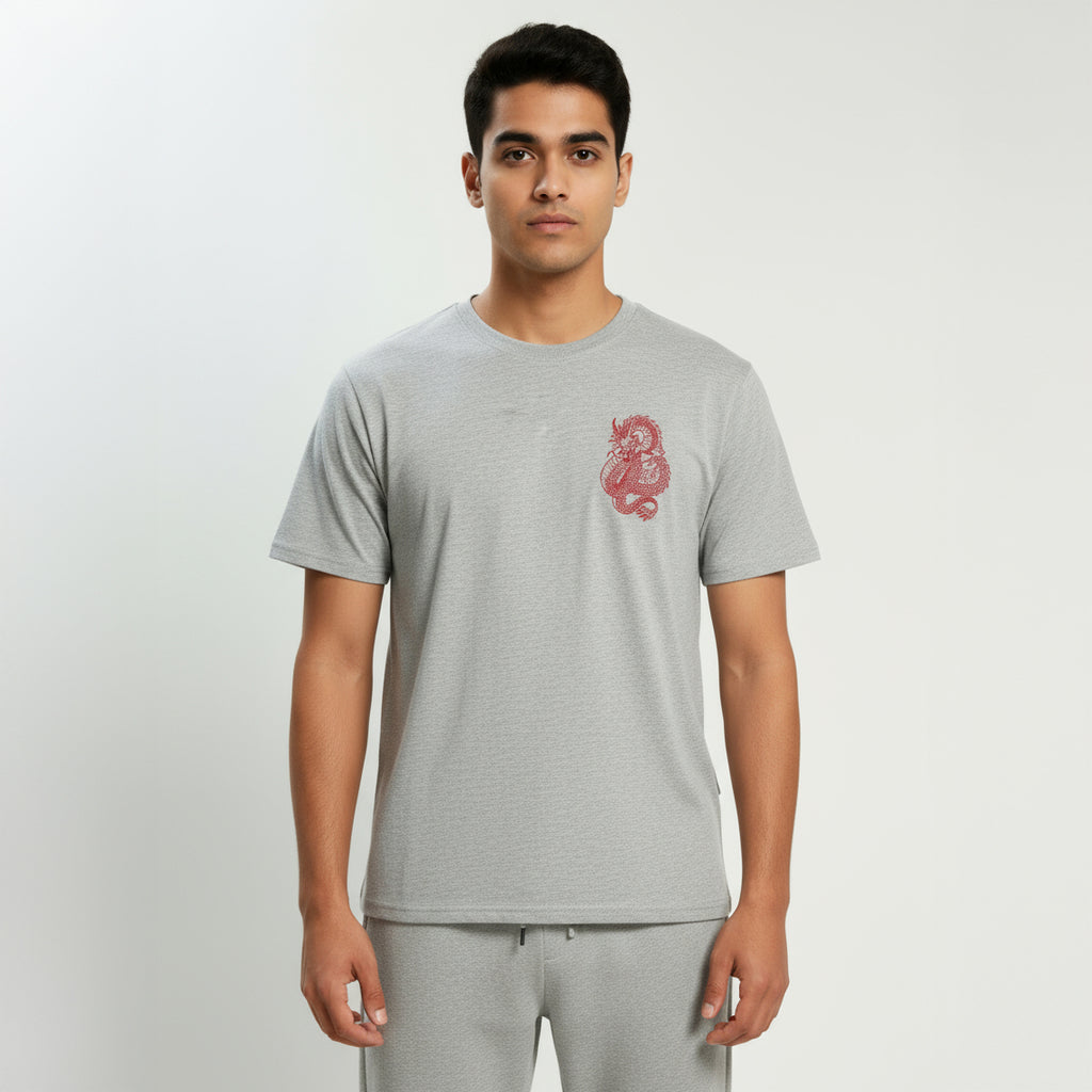 Dragon Printed T-shirts